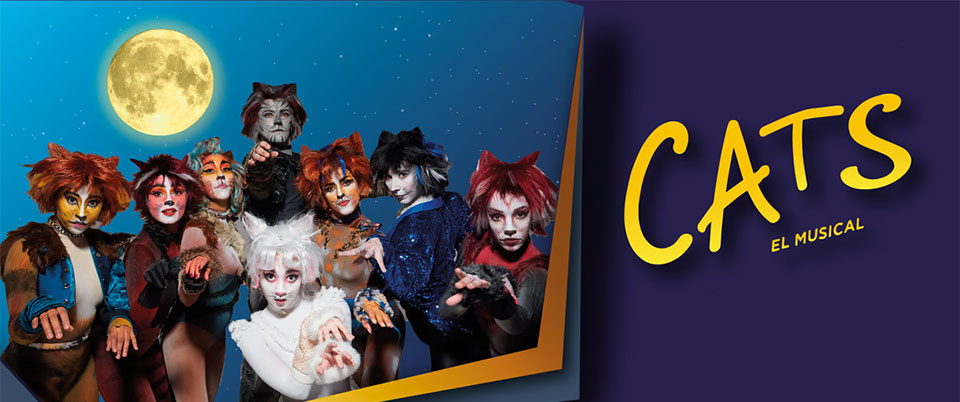 Cats